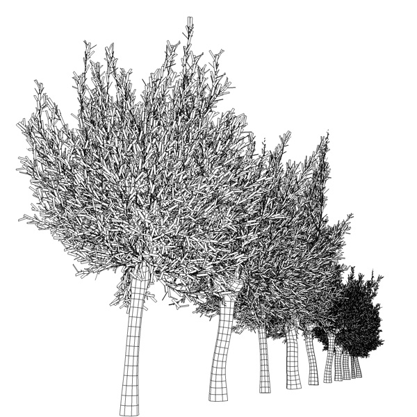 images/goods_img/2021040161/salix pollard pack/3.jpg